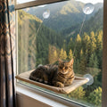 Cat Window Hammock Bed